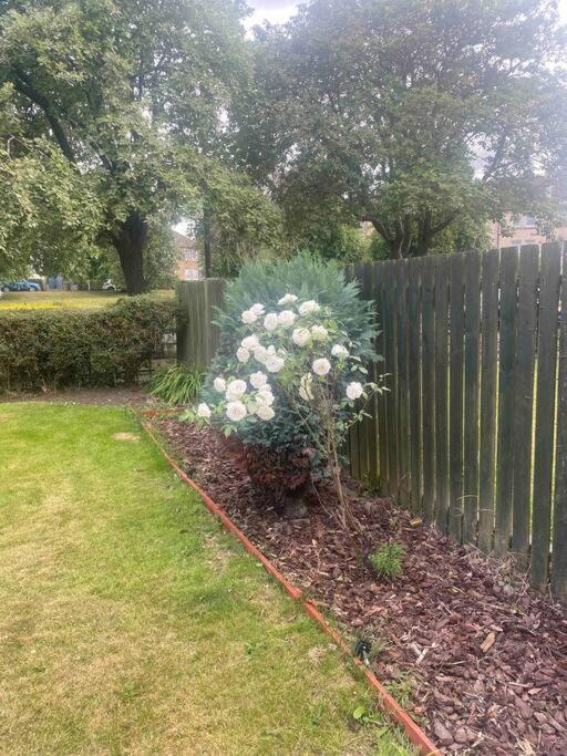Lovely 2 Bedroom With Private Garden Edimburgo Esterno foto